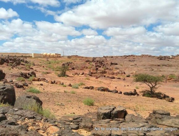 IMG_4043 La Actualidad Saharaui de HOY, 18 de agosto de 2019 ??
