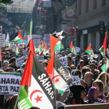 ¡ÚLTIMAS noticias – Sahara Occidental! | 12 de noviembre de 2020