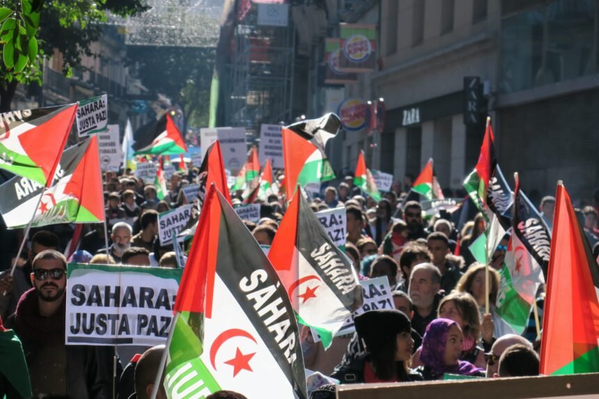¡ÚLTIMAS noticias – Sahara Occidental! | 12 de noviembre de 2020