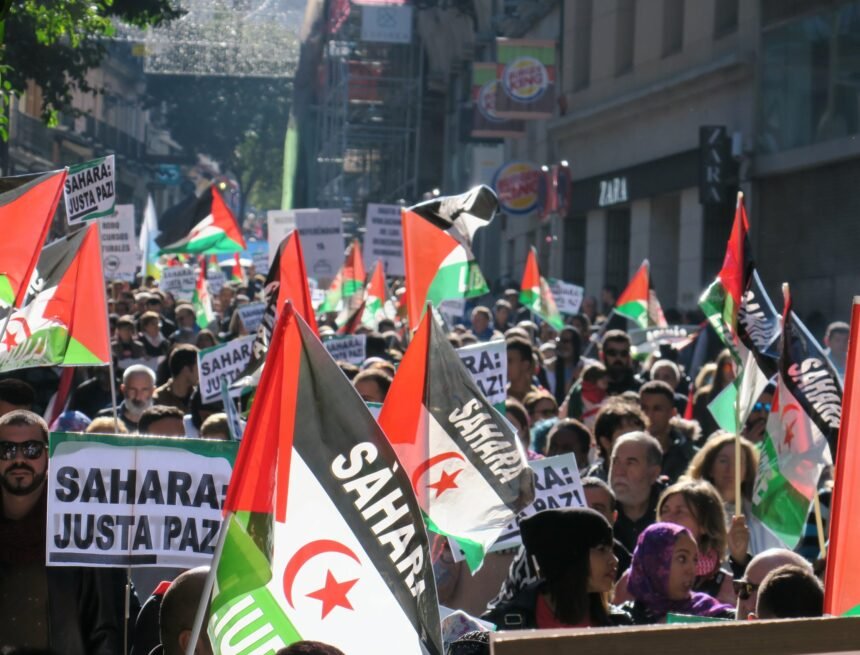 ¡ÚLTIMAS noticias – Sahara Occidental! | 12 de noviembre de 2020