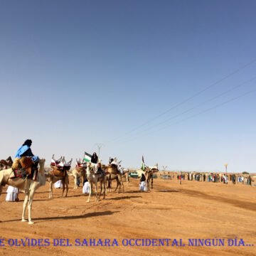 Más #ActualidadSaharaui del 6 de mayo de 2019 ????