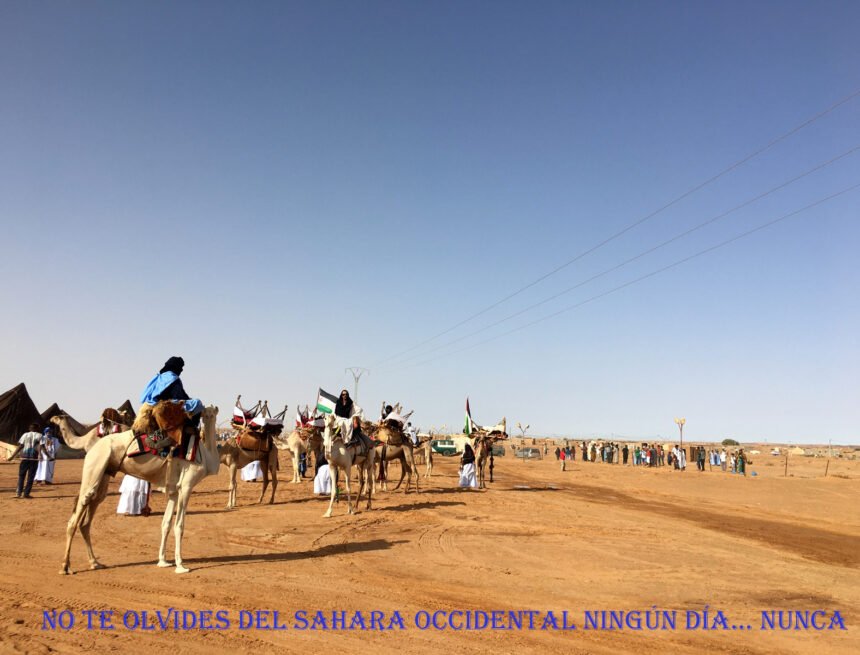 IMG_6534 Más #ActualidadSaharaui del 6 de mayo de 2019 ????