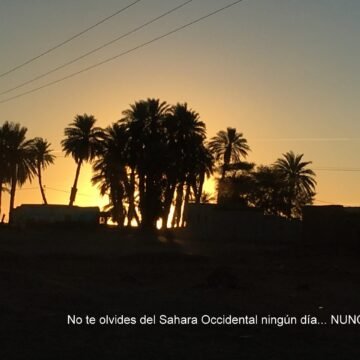 IMG_6607-001-scaled ¡ÚLTIMAS noticias – Sahara Occidental! 6 de mayo de 2021