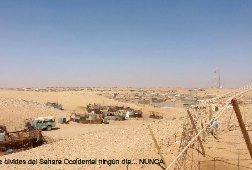 ⚡️ ?? Las noticias saharauis del 13 de febrero de 2019: La #ActualidadSaharaui de HOY ????