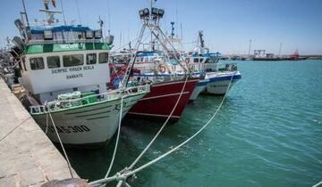 El Frente Polisario cree que el Tribunal General de la UE puede anular este miércoles los acuerdos de libre comercio y de pesca entre Rabat y Bruselas | EL PAÍS