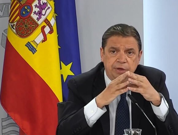 España recurrirá la sentencia del TJUE que anula los acuerdos UE-Marruecos que hundieron al sector hortofrutícola español por el incumplimiento marroquí