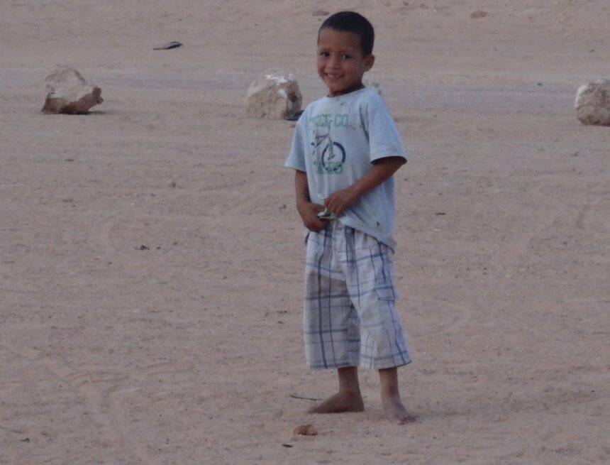 NNO-SAHARAUII Recepciones espurias, por Fernando Llorente – El Faradio