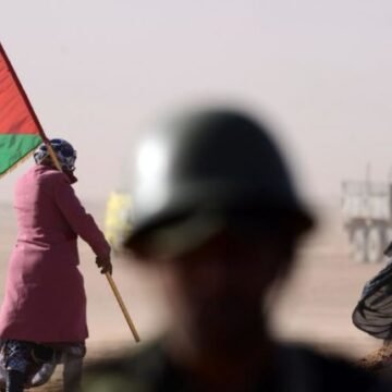 Sahara Occidental : le Maroc accuse les Emirats Arabes Unis de soutenir le Front Polisario
