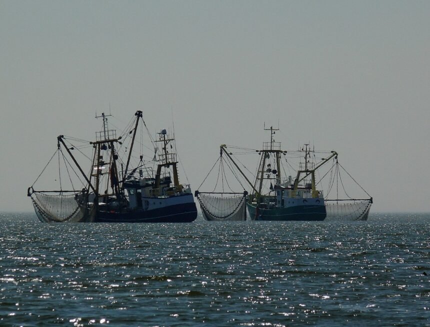 PososAnarquia_PEsca ¿Por qué viene migración? Porque, como en Sáhara, les robamos – Posos de anarquía