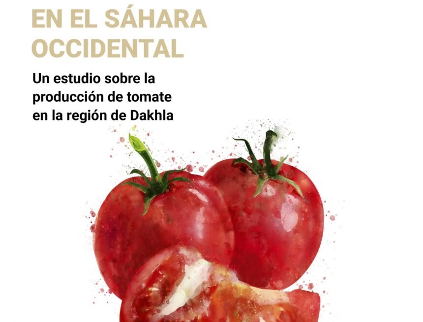 Estudio sobre la producción de tomate en la región de Dakhla – Mundubat