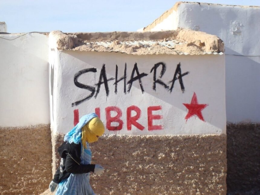 El futuro de la última colonia en África: el Sahara occidental entre negociaciones y juego de las grandes potencias Francia, Rusia y Estados Unidos | elminuto