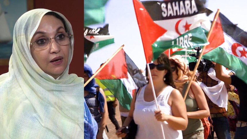 Aminatou Haidar Honored For Decades of Peaceful Resistance in Western Sahara, Africa’s Last Colony | Democracy Now!