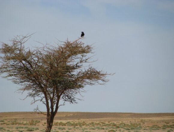 La #ActualidadSaharaui: 27 de abril de 2021 ??