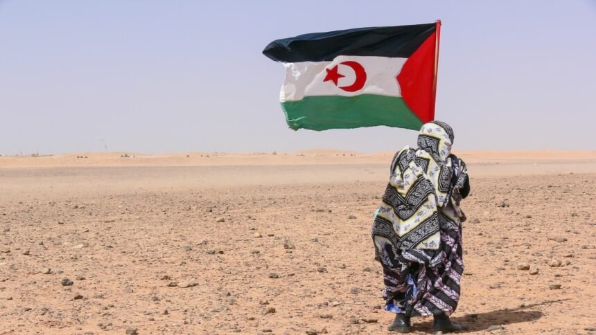 Sahara occidental : des amendements proposés par la Russie bloqués par les États-Unis