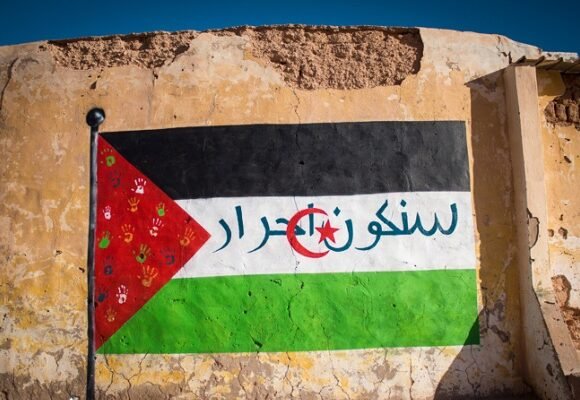 «Primero llegó el Covid-19, lo que nos impidió realizar el programa de acogida el pasado verano, ahora la guerra”, explica Elvira González – GetafeCapital.com