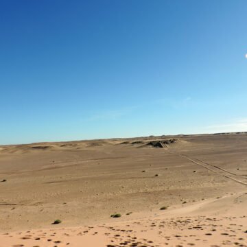 Sahara Occidental: Resistir a las inclemencias del desierto y del despojo | newsweekespanol