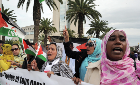 GUE/NGL – Parliament’s Trade Committee approves EU-Morocco Agreement without consent of Sahrawis