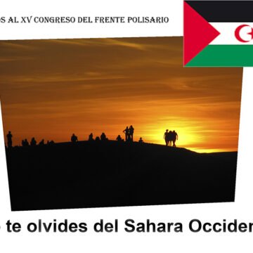 ¡LA ACTUALIDAD SAHARAUI! Las noticias del 14 de septiembre de 2022