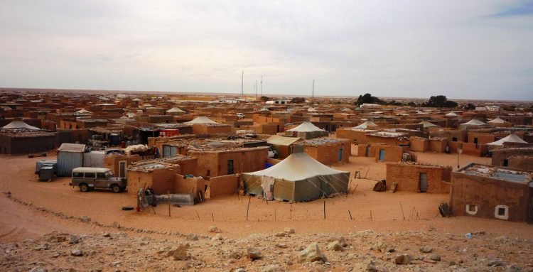 Moha, nacido en un campo de refugiados saharaui: “La juventud está agotada de esperar” – Público