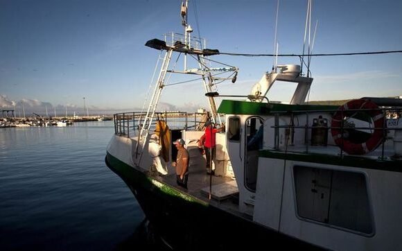 No seremos cómplices de la ocupación ilegal del Sáhara Occidental