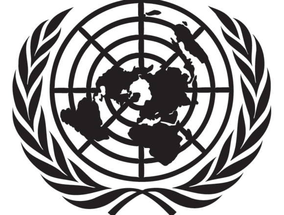 Le Comité des 24 débat de la question du Sahara occidental | UN Press