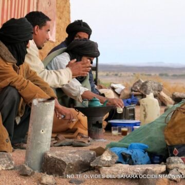 La Actualidad Saharaui: 9 de noviembre de 2019 ??