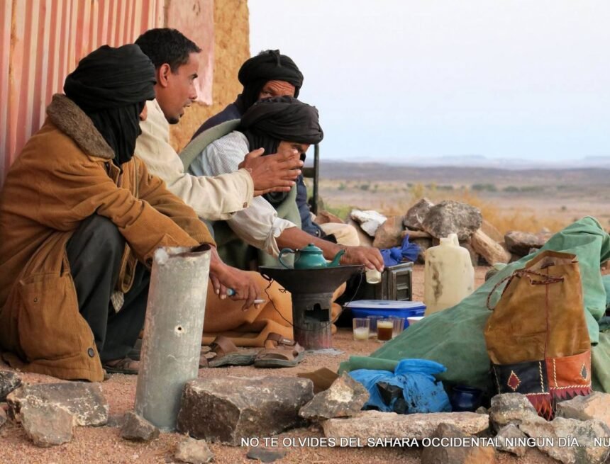 VFVF La Actualidad Saharaui: 9 de noviembre de 2019 ??