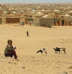 Sahara Occidental. Historia de un abandono – El Faradio