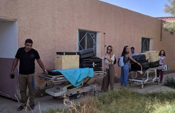 La Vicuña, 10 años de cooperación sanitaria con los refugiados saharauis – Diario de Cádiz