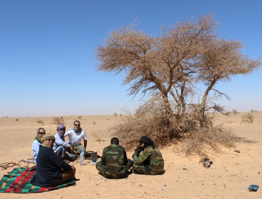 La Actualidad Saharaui: 17 de noviembre de 2020 ??