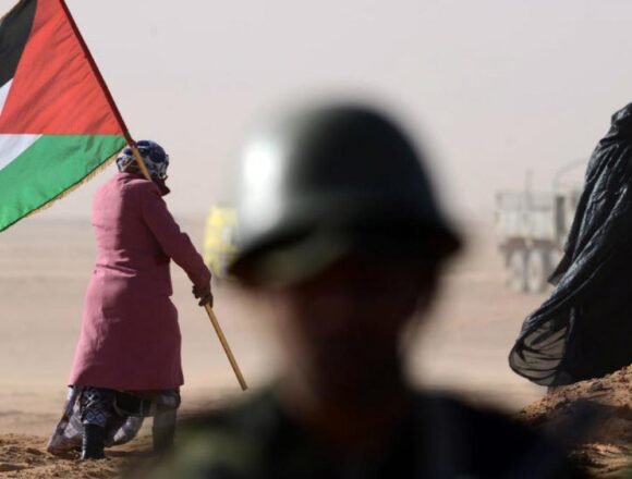 a9510d7559e9342b098608cd99152338 El País Digital | El laboratorio saharaui, por Federico Larsen con entrevistas a Ali Ali Salem y Luz Mateo, secretaria de la Cátedra Libre de Estudios sobre el Sahara Occidental de la Universidad Nacional de La Plata