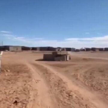 Cuatro mil niños saharauis pasarán este verano en el desierto a más de 50 grados – ABC