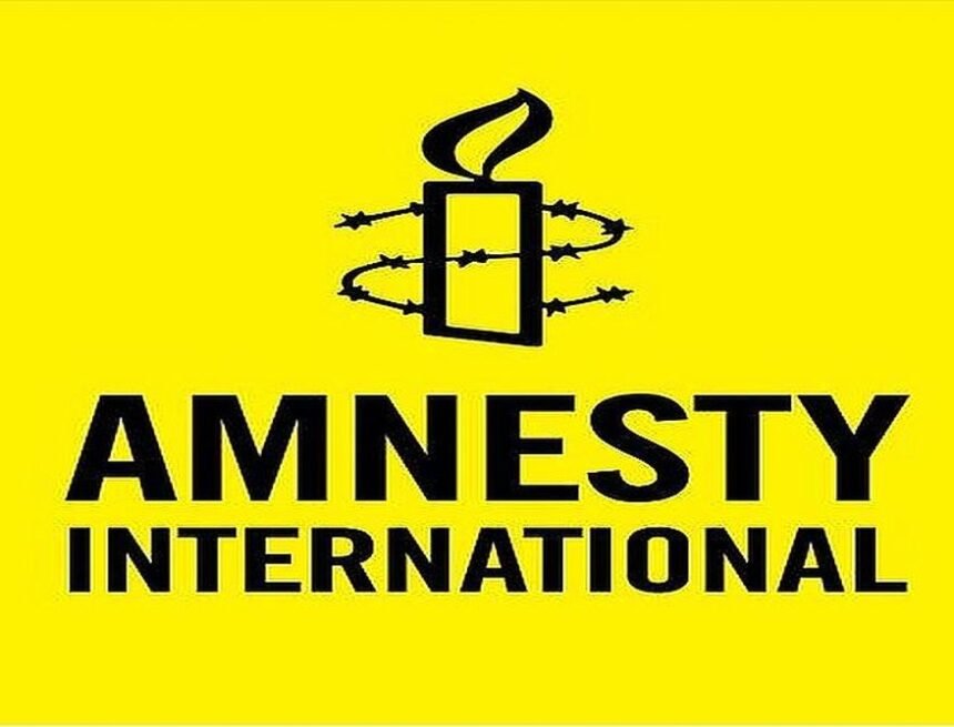 Amnesty International stresses Human rights component is critical to UN Mission in Western Sahara | Sahara Press Service