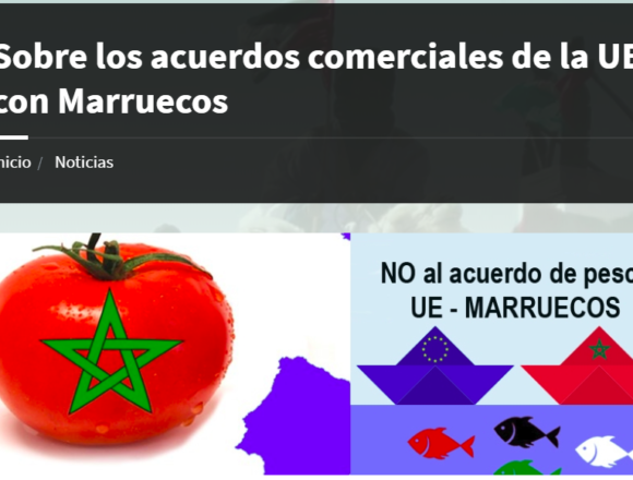Entrevista con el profesor Carlos Ruiz Miguel sobre los acuerdos comerciales de la UE con Marruecos – Delegación Saharaui en Euskadi
