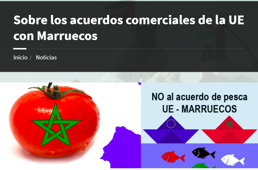 Entrevista con el profesor Carlos Ruiz Miguel sobre los acuerdos comerciales de la UE con Marruecos – Delegación Saharaui en Euskadi