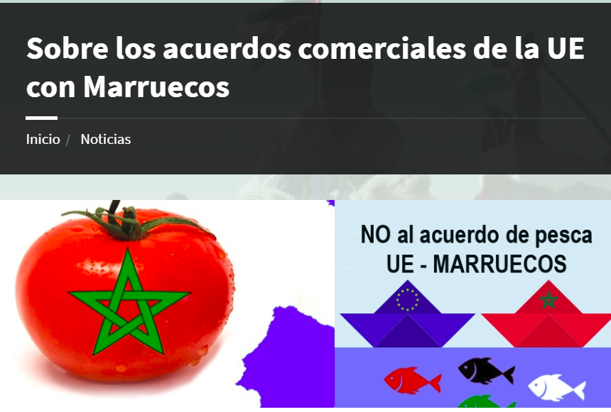 Entrevista con el profesor Carlos Ruiz Miguel sobre los acuerdos comerciales de la UE con Marruecos – Delegación Saharaui en Euskadi