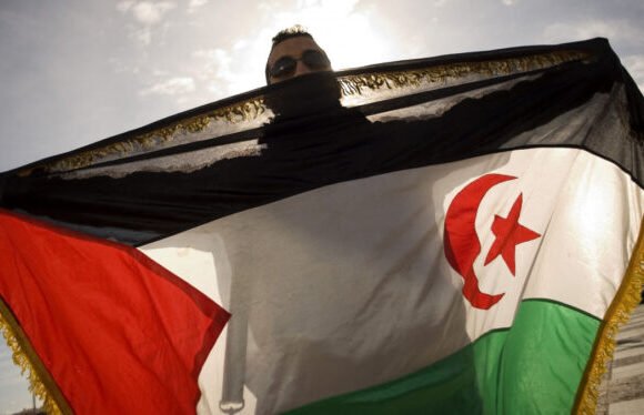 ‘Vivimos la segunda fase de lucha contra el colonialismo en la que el pueblo saharaui tiene un papel fundamental’