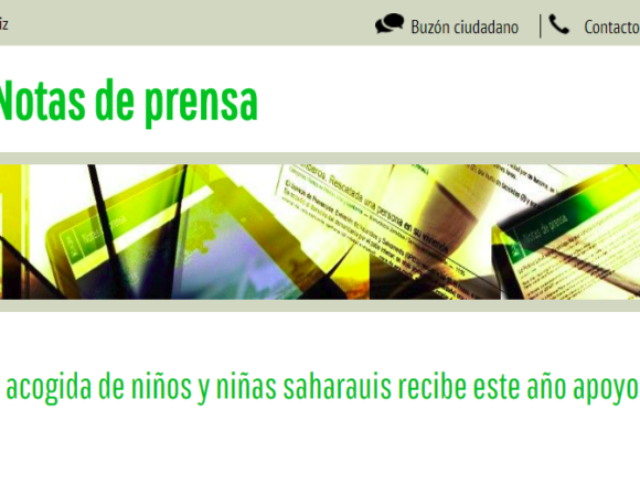 Ayuntamiento de Vitoria-Gasteiz: El programa de acogida de niños y niñas saharauis recibe este año apoyo municipal de 16.000 euros « Notas de prensa