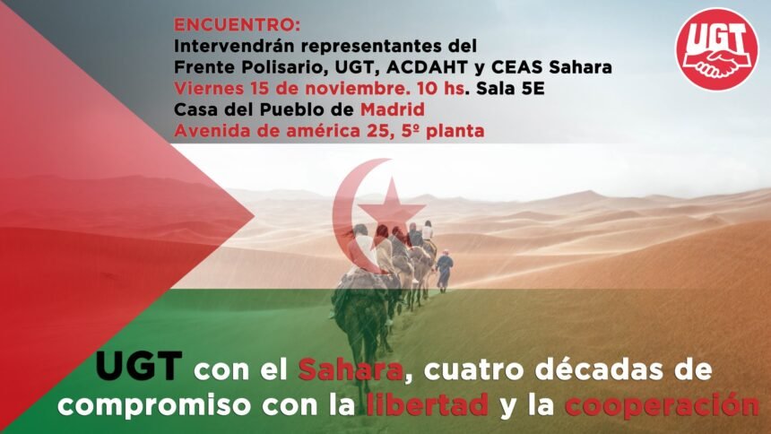 ¡ÚLTIMAS noticias contra el desierto informativo del Sahara Occidental!