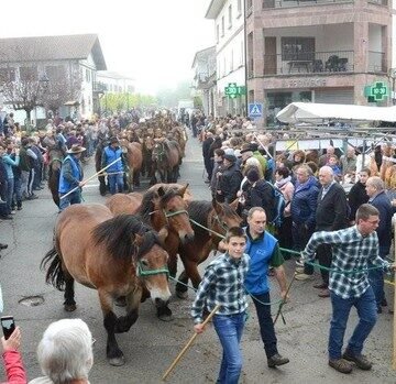 Una multitud en una feria de otoño muy primaveral. Noticias de Navarra