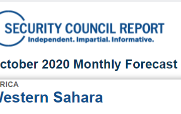 Nota informativa DEL CONSEJO DE SEGURIDAD SOBRE EL SAHARA OCCIDENTAL | Hoy 14 de octubre, se llevarán a cabo consultas sobre la MINURSO con el Representante Especial y jefe de la MINURSO, Colin Stewart