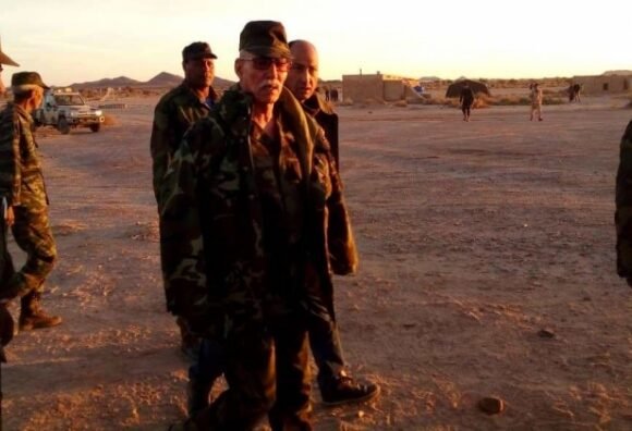 bggggg Organizan las maniobras militares Mártir El-Wali del Ejército de Liberación Saharaui en la región de Mheiriz | Sahara Press Service