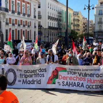 ¡ÚLTIMAS noticias – Sahara Occidental! 13 de noviembre de 2021 ?? ?? ??