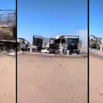 bhu7654 ¡ÚLTIMAS noticias – Sahara Occidental! 3 de noviembre de 2021 ?? ?? ??