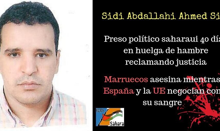 ⚡️ ?? La #ActualidadSaharaui HOY, 11 de noviembre de 2018 ??