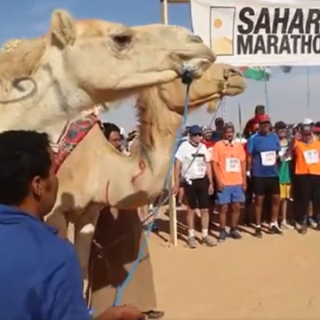 ¡LA ACTUALIDAD SAHARAUI! 6 de enero de 2022 ?? ?? ??