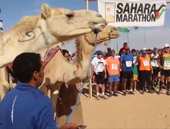 ¡LA ACTUALIDAD SAHARAUI! 6 de enero de 2022 ?? ?? ??