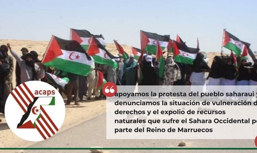 Apoyan desde Cataluña las protestas de Guerguerat y exigen a la ONU asumir sus responsabilidades en el Sahara Occidental | Sahara Press Service