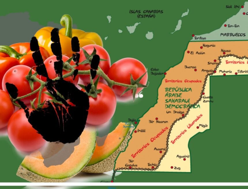 cream_handwritten_english_tutor_marketing_presentation Grandes empresas suizas cierran sus puertas a productos de las zonas ocupadas saharaui | Sahara Press Service