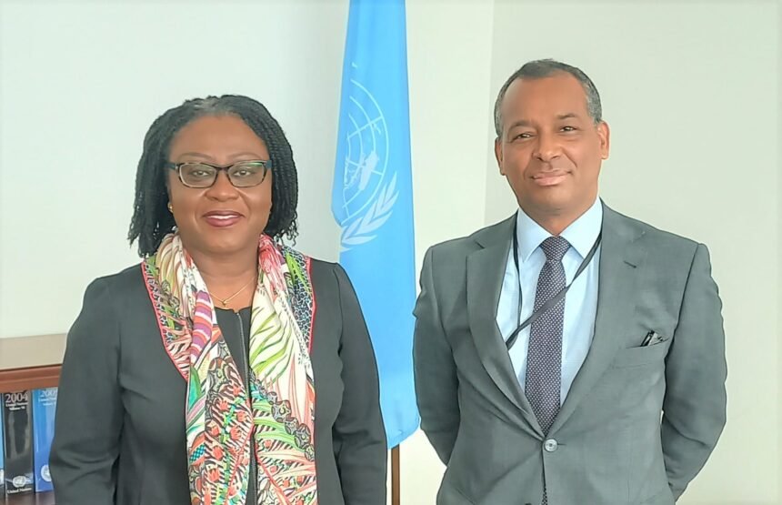 El Representante del Frente POLISARIO en la ONU se reúne con la Asistente del Secretario General de la ONU para África | Sahara Press Service